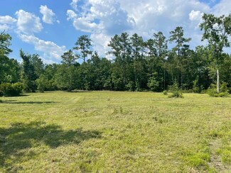 Lot 20 Paradise Ln, Georgetown, SC 29440