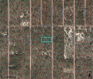 0 SE 130th Ct Unit MFRPR9113840, Dunnellon, FL 34431