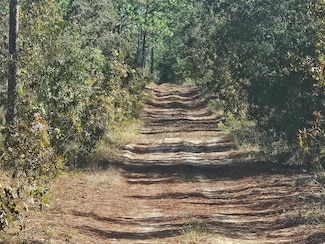 XXXX SW 92nd Place, Rainbow Springs, FL 34431