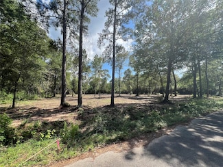 TBD Lot 3 Deerwood Dr, Todd Mission, TX 77363