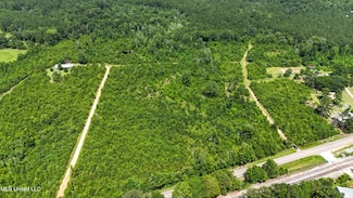0 Peps Point Rd, Hattiesburg, MS 39401