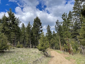 Tract 2B Grizzly Gulch Dr, Helena, MT 59601