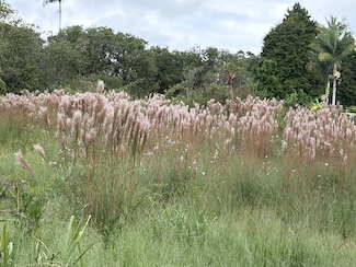 18-1974 Hapuu Nani Rd, Mountain View, HI 96771