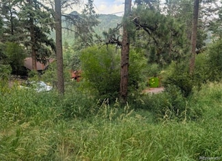 0 Mountain Rd Unit REC9940937, Cascade, CO 80809