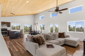 431 Rudisill St, Fairplay, CO 80440