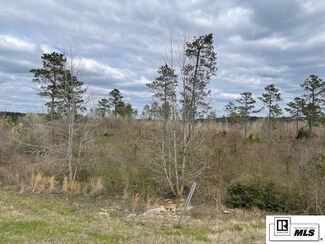 0 Lakeshore Dr Unit Tract 6 196695, Chatham, LA 71226