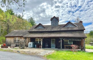 138 Vienna Woods Rd, Purling, NY 12470