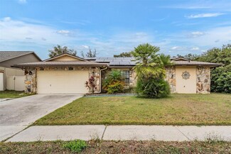 868 Timber Pond Dr, Brandon, FL 33510