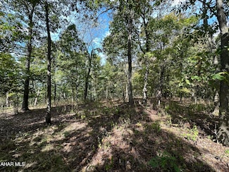 LOT 1 Glade Pike Estates, Manns Choice, PA 15550