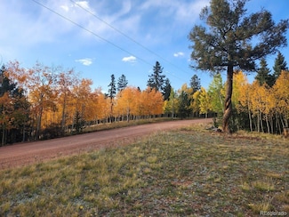 2642 Yorktown Rd, Cripple Creek, CO 80813