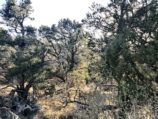 233 Lake of the Falls Pkwy, Mosca, CO 81146