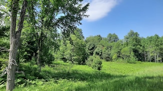 19.5 Acres 9 Mile Rd, Kaleva, MI 49645
