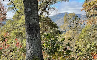LT 18 Harris Ridge Rd, Young Harris, GA 30582