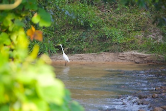 23500 Tennessee 125, Bolivar, TN 38068