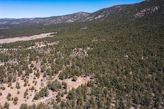 1480 New Mexico 111, Vallecitos, NM 87581