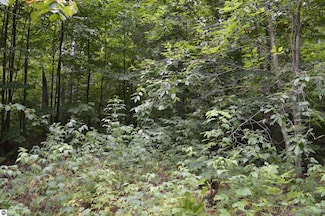 0 NE Dapokie Trail Unit 1937700, Kalkaska, MI 49646