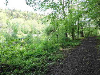 Vacant Lots Standish and River Rd, Bridgewater, VT 05034