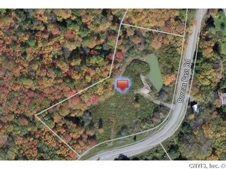 3423 Boreas Pass, Truxton, NY 13158