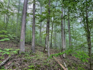 Tbd Shortline Hwy, Porters Falls, WV 26162