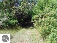 Lot A Round Rock Way, Frankfort, MI 49635