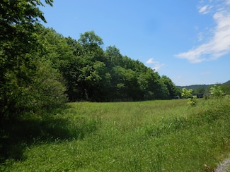 1222 Hopkins Hollow Rd, Gainesboro, TN 38562