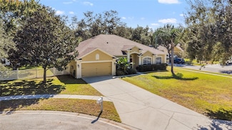 12506 Safari Ln, Riverview, FL 33579