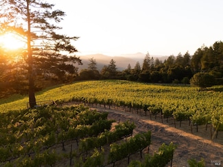 316 Wall Rd, Napa, CA 94558