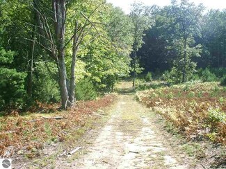 Off Keffer Rd Unit E, Fife Lake, MI 49833