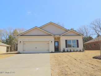 5380 Willow Oak Dr, Horn Lake, MS 38637