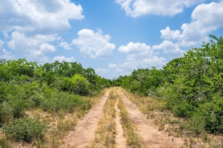 1355 County Road 119, Pettus, TX 78146