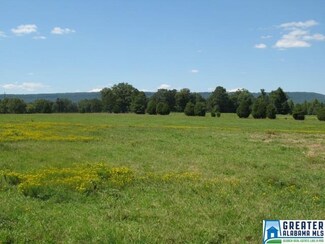 1950 Steele Station Rd Unit 59 ac, Steele, AL 35987