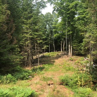 8320 Oakwood Ct, Sayner, WI 54560
