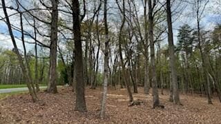 Lot 291 Dormie Ln, Penhook, VA 24137