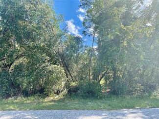 0 Wacassa Trail, Sorrento, FL 32776