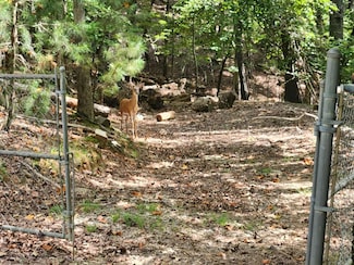 19B/2545 Frigate Dr, Ellijay, GA 30540