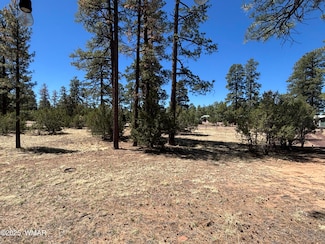 0 Between 2901 & 2905 Pine Rim Rd Unit 256606, Overgaard, AZ 85933