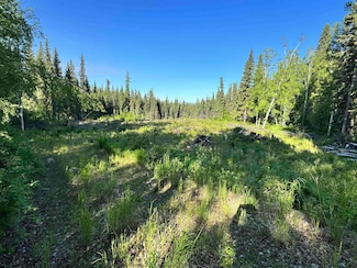 nhn Terrace Dr, Fairbanks, AK 99712