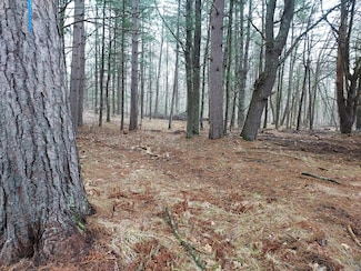 French Rd, Amberg, WI 54156
