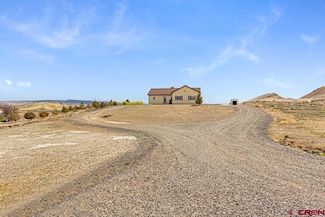 10321 Kings View Rd, Orchard City, CO 81410