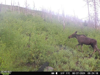 582 Gcr 414, Granby, CO 80446