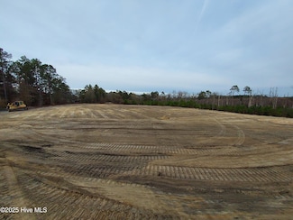 0 Palmer Unit 100543563, Marston, NC 28363