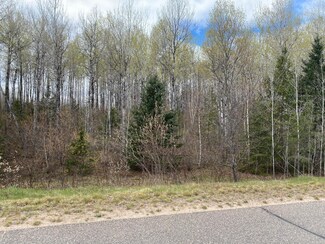 23+/- AC Rocky Run Rd, Harshaw, WI 54529