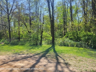 V/L Spaulding Ct, Bellevue, MI 49021