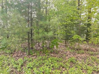 VL Oakridge Rd, Tobacco Township, MI 48612