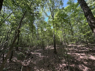 0 Lee Road 344 Unit 23961778, Salem, AL 36874