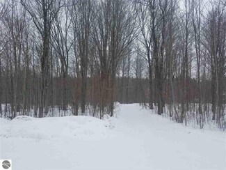 6789 Larson Rd SW, South Boardman, MI 49680