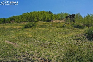 0 Unknown Rd Unit 4853671, Cripple Creek, CO 80813