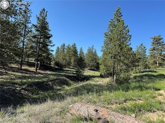 69 Coyote Run Rd, Texas Creek, CO 81223