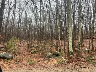 0 Hobbs Rd, Princeton, MA 01541