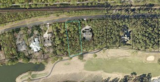 0 Wallace Pate Dr S Unit LOT 314 Wallace Pate, Georgetown, SC 29440